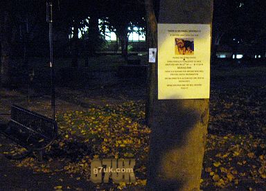 Poster in Sackville Park about a pet dog that was 'snatched'