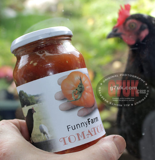 Hen checks out herself on the label on a jar of tomatoes