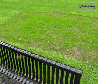 Disappearing flowerbeds in Parsonage Gardens, Manchester city centre, August 2008