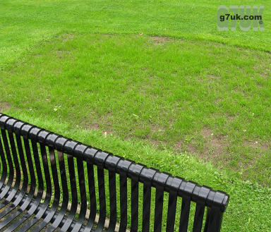 Disappearing flowerbeds in Parsonage Gardens, Manchester city centre, August 2008
