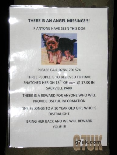 Poster in Sackville Park about a pet dog that was 'snatched'